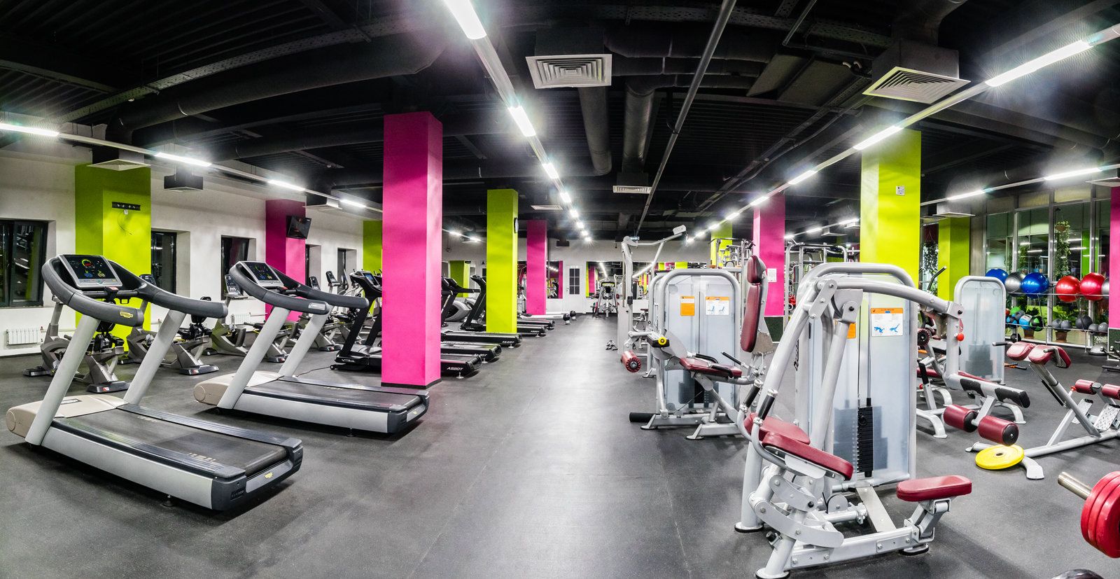 IgniteFit Fitness Zone: Elevate Your Fitness Experience